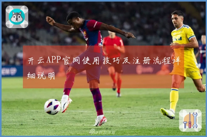 开云APP官网使用技巧及注册流程详细说明